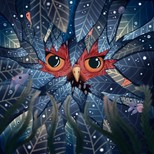 Owl