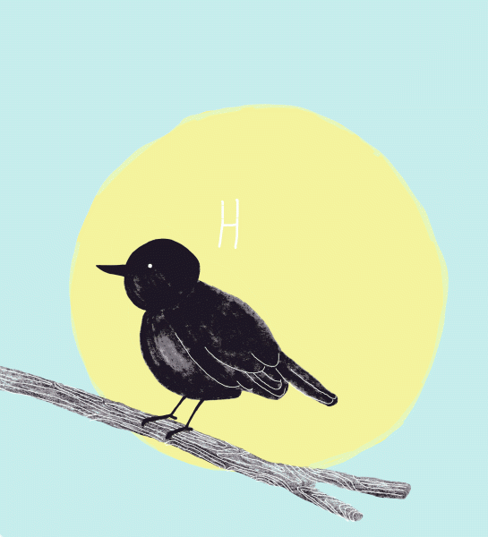 birdie