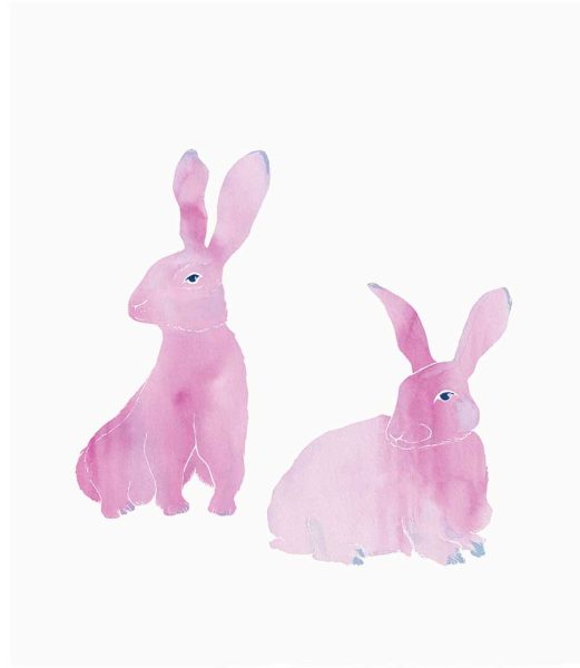 rabbit_DUO_WEB