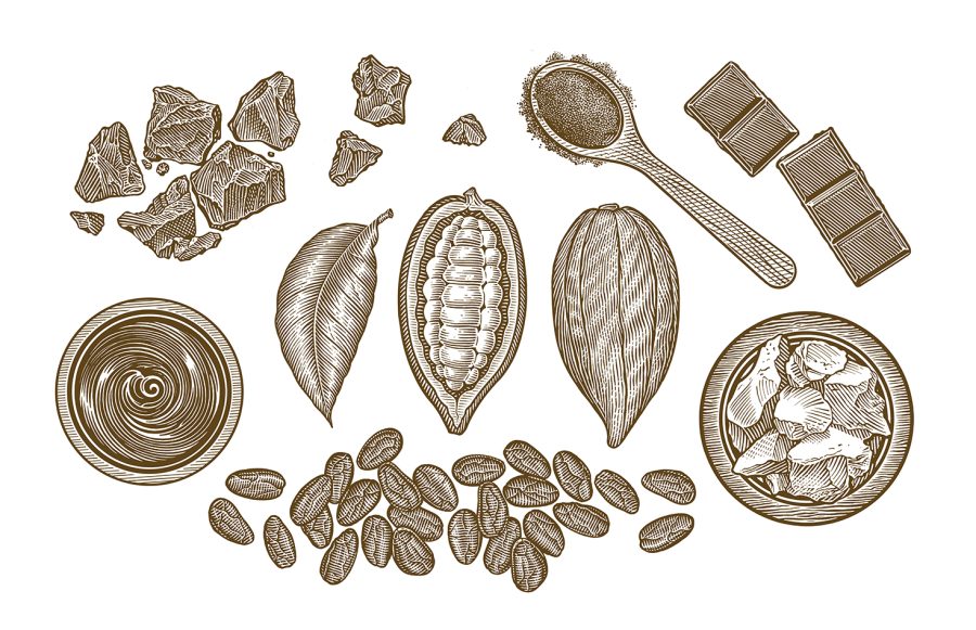Cocoa Ingredients