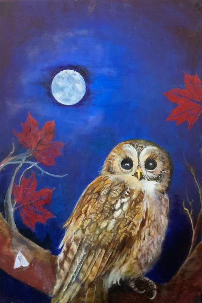 Owl at Moonlight