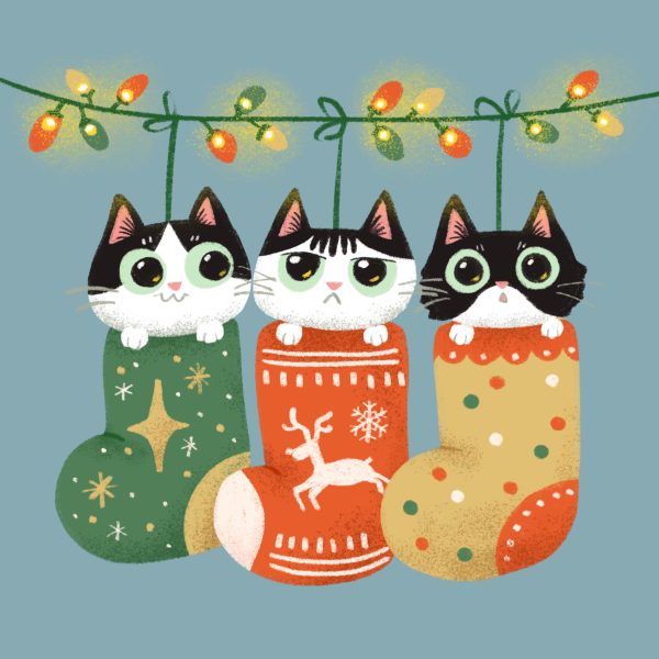 Cat Christmas Card Design 4