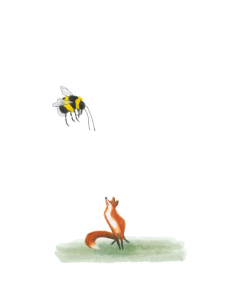 Fox & Bumblebee