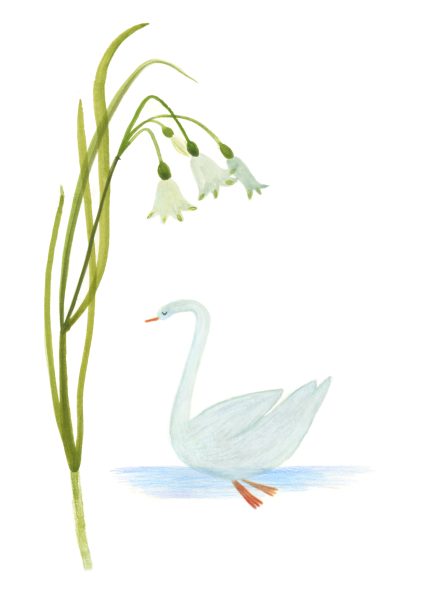 Spring Snowflake & Swan