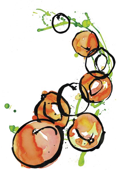 Nectarines