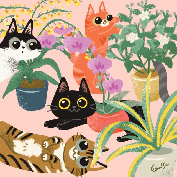 Cats and Cat-friendly plants