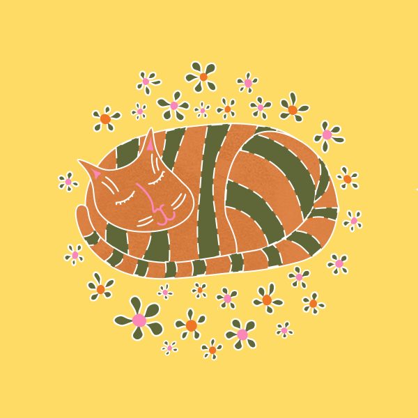 Cosy Cat