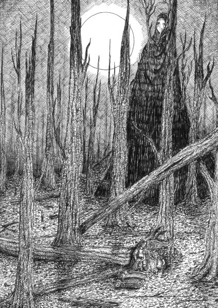 Forest Fires