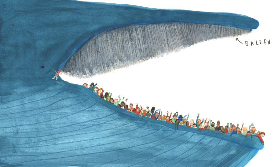 A blue whale's mouth