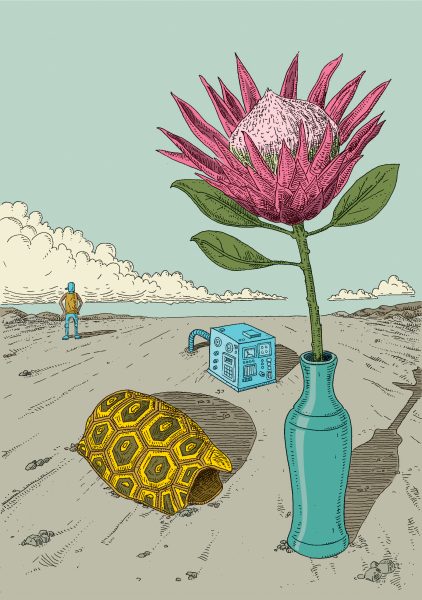 Protea