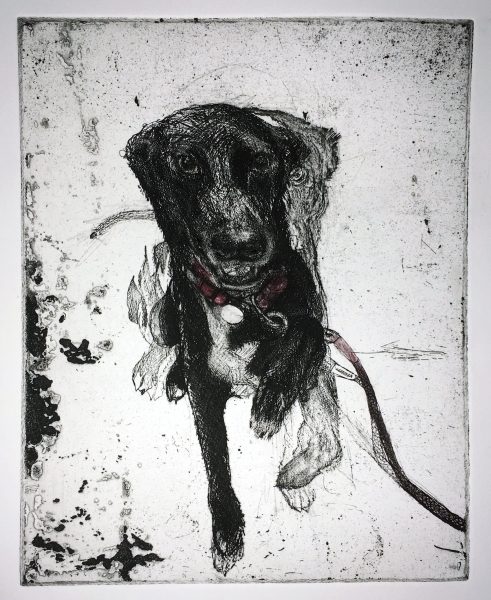 Palimpsest Puppy