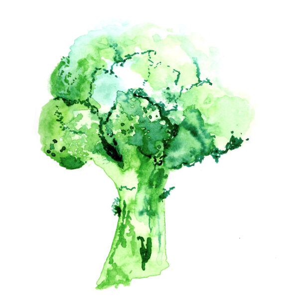 Louise-Naughton-Illustration-Food-Broccoli
