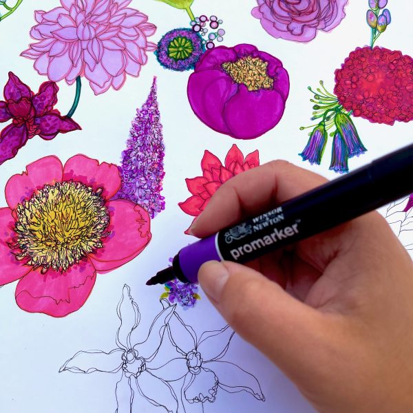 Marcella Wylie Drawing Flowers
