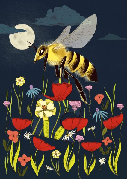 Puzzle Bee