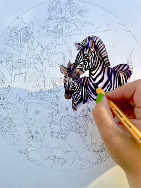 Safari Zebra Drawing