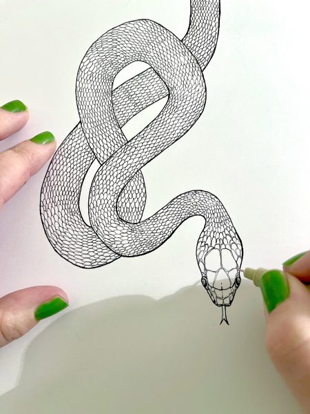 Serpent Pen Drawing
