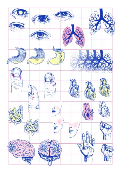 Somatic Elements