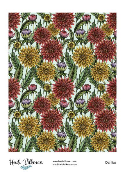 Dahlias