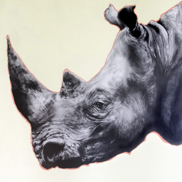 Rhino #2