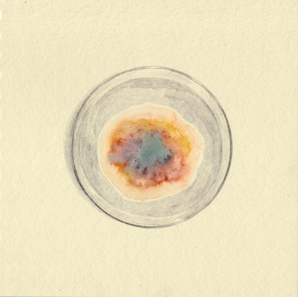 Petri Nebula