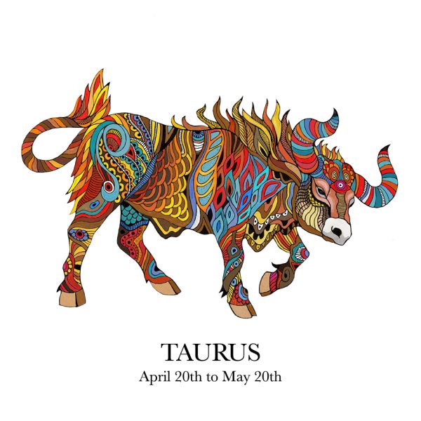Taurus zodiac art