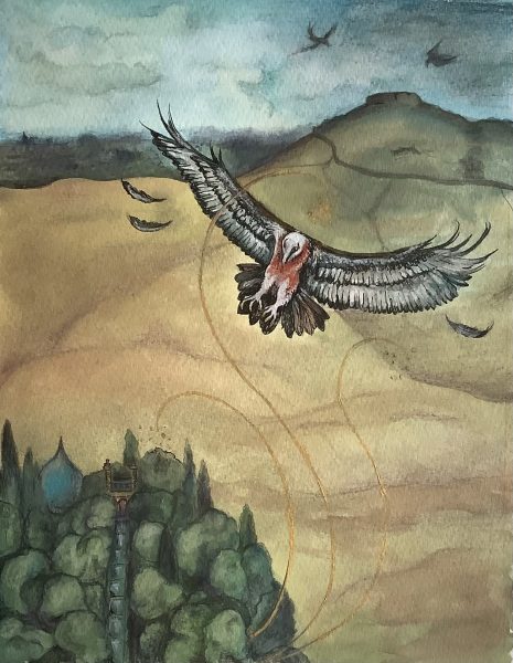Bearded Vulture, Silent Towers
