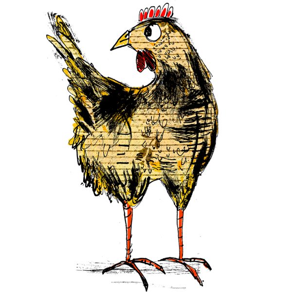 Chicken