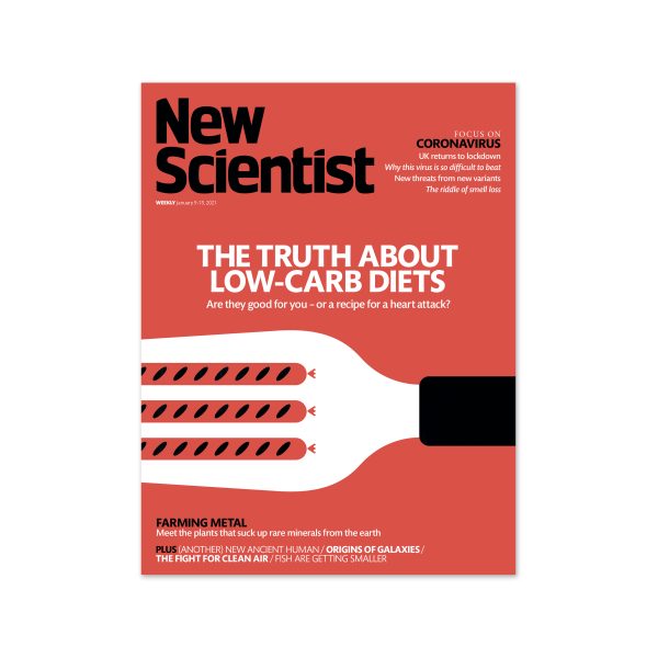 The Truth About Low-Carb Diets