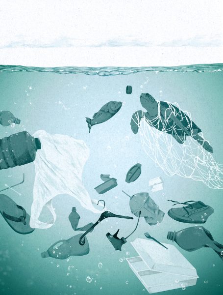 Ocean plastics pollution is a global problem
