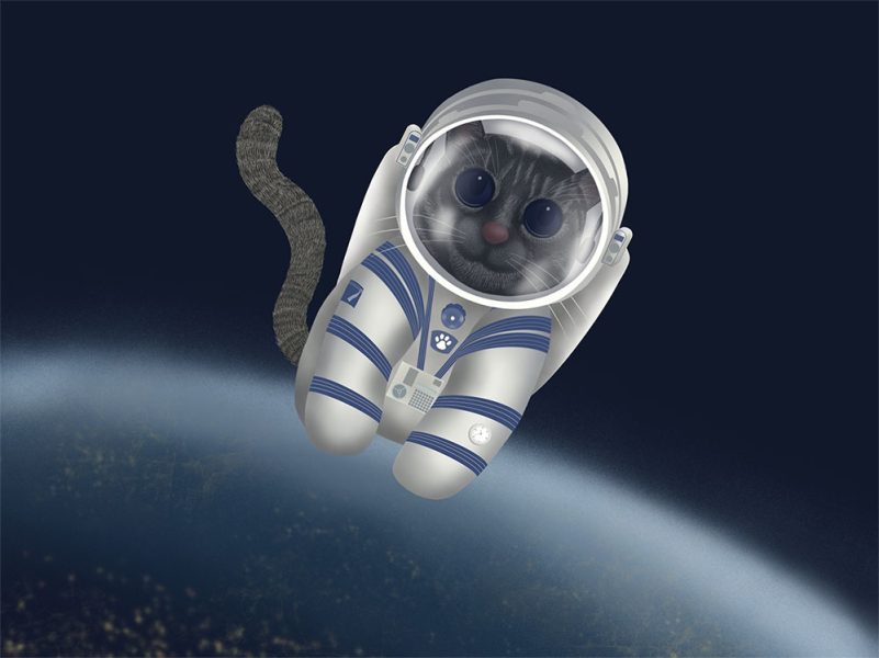 Captain Raffles the Space Cat