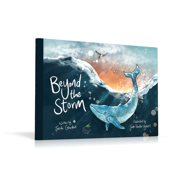 Book - Beyond the storm book