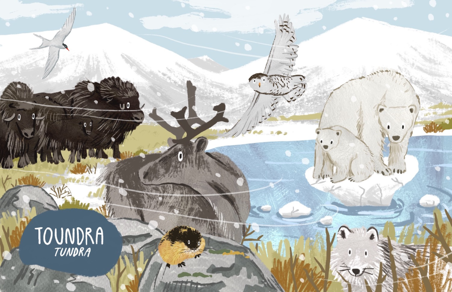 Tundra
