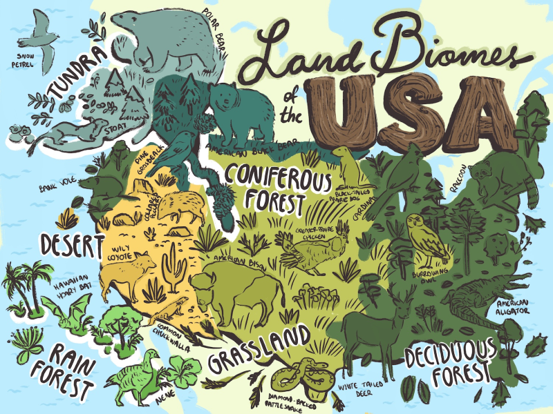 Land Biomes of the USA