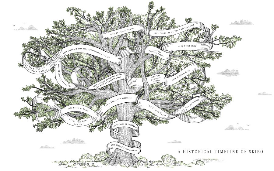 Family tree for Skibo Castle. Botanical, etching line style.