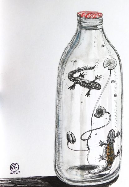A Milk Bottle Full of Newts 2022