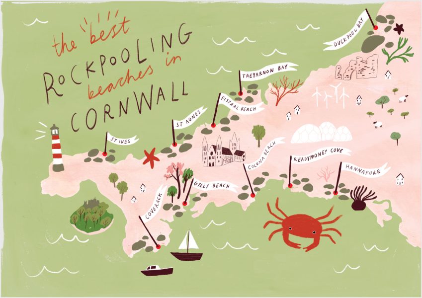 Cornish Rockpool Map