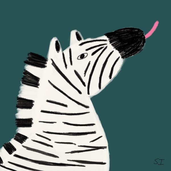 Zebra Antics