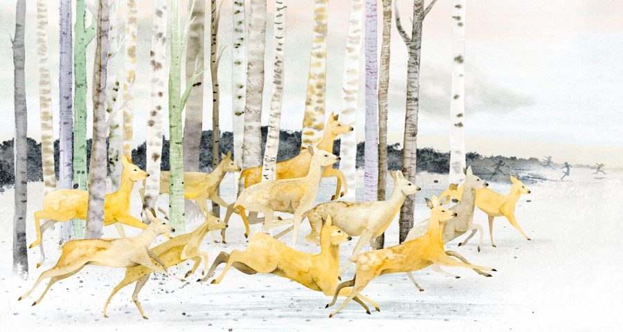 Deer running together in forest. From picture book: Wild Beings.