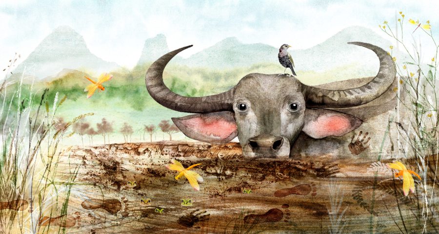 WILD BEINGS picture book - Buffalo and dragonflies in mud.