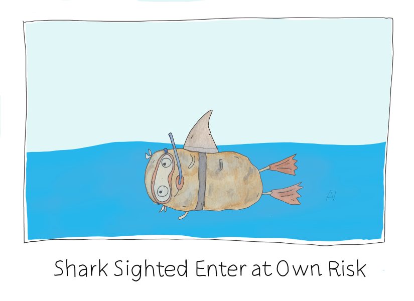 Shark Sighted