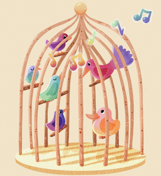 The Birdcage