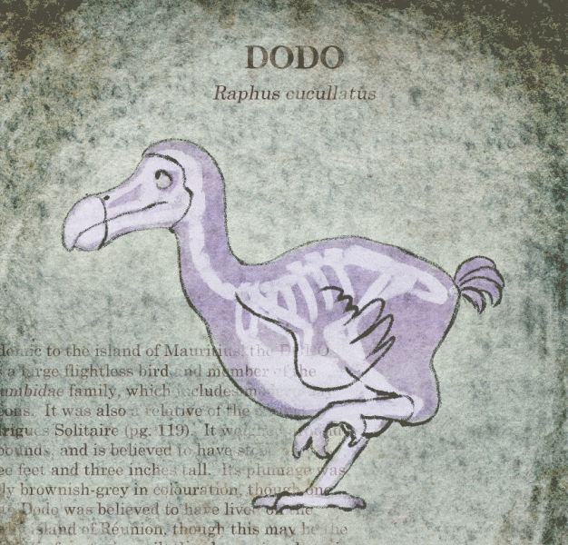The Dodo