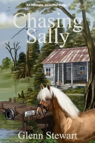 Chasing Sally Book Cover