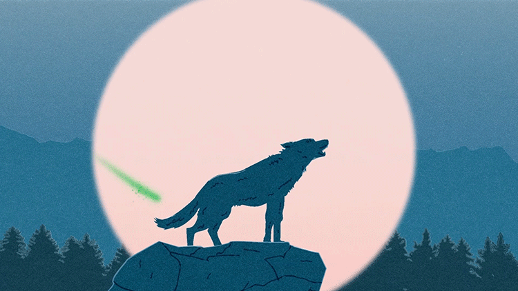 wolf under the moon