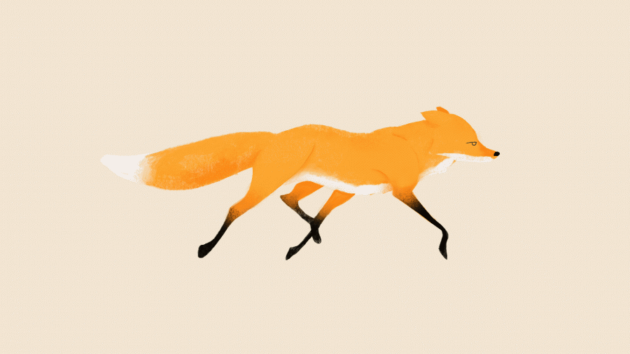 running fox