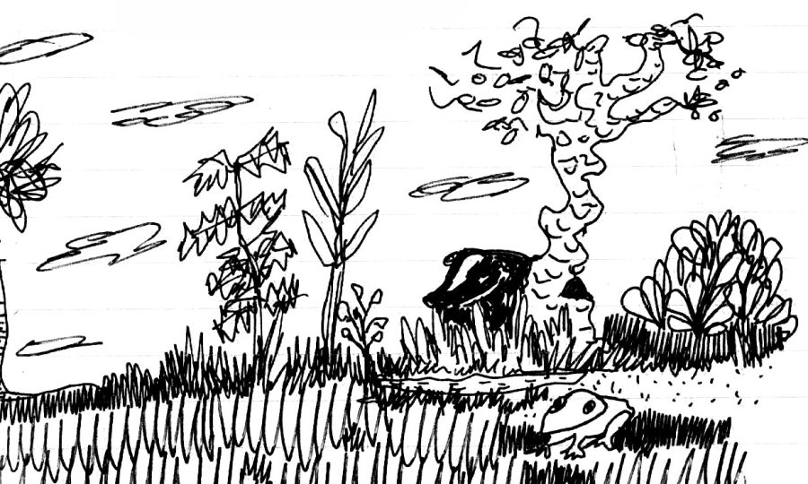 Badger and Frog Landscape
