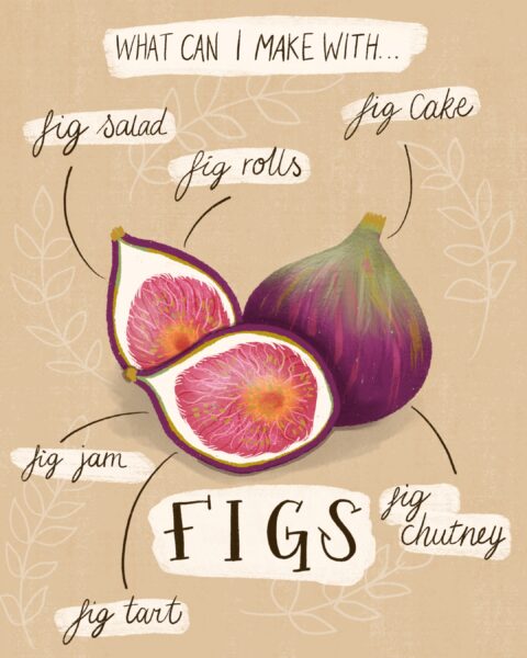 What Can I Make With Figs