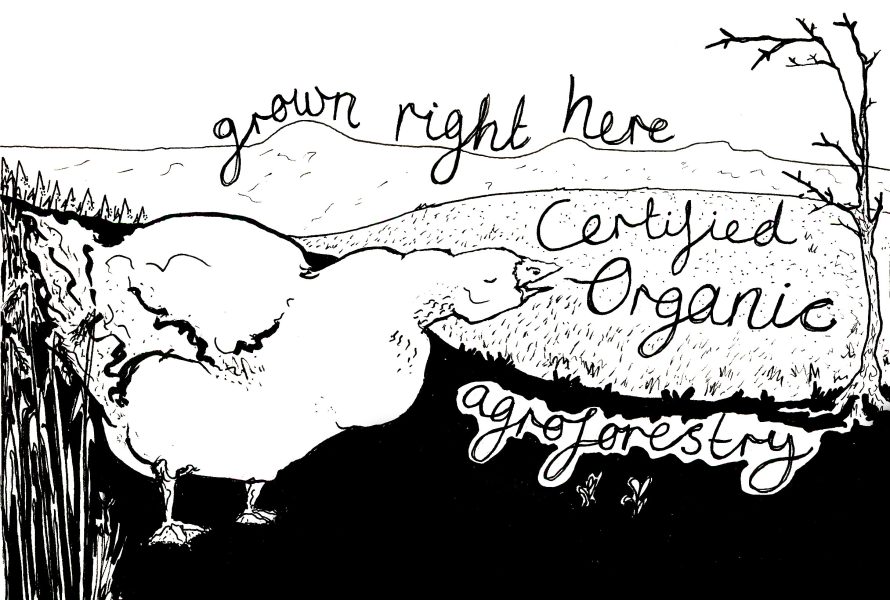 Flier for Organic Christmas Geese