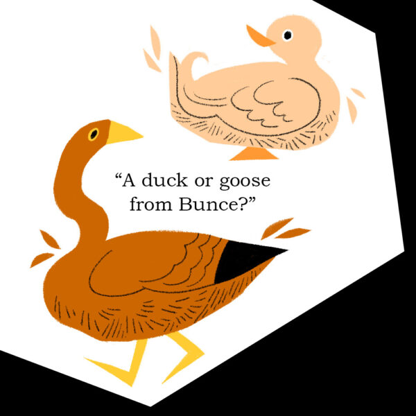 Farmer Bunce's Ducks and Geese