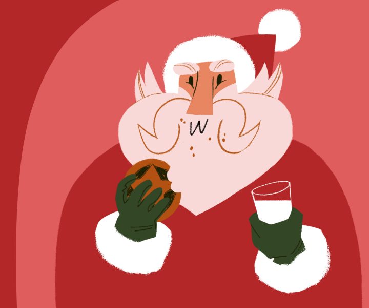 Santa Loves Mince Pies